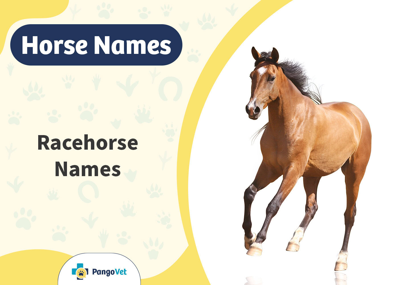 PangoVet_Racehorse Names