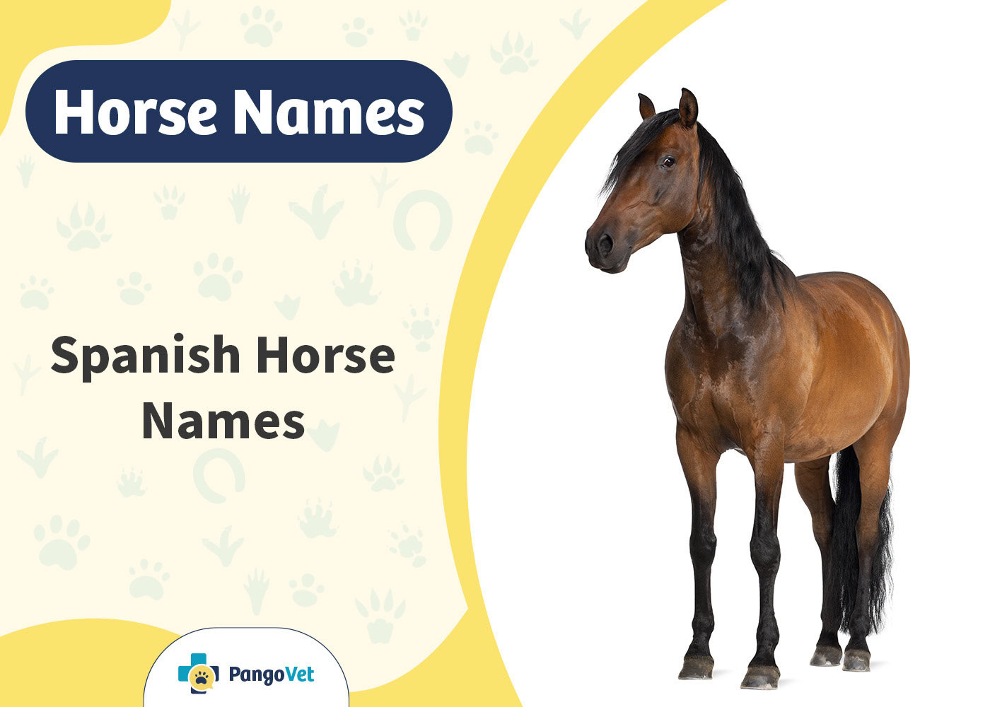 PangoVet_Spanish Horse Names