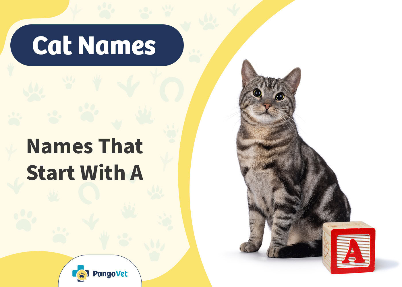 PangoVet_Cat Names that Start with A