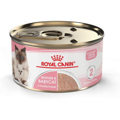Royal Canin Feline Health Nutrition Dry Food for Young Kittens