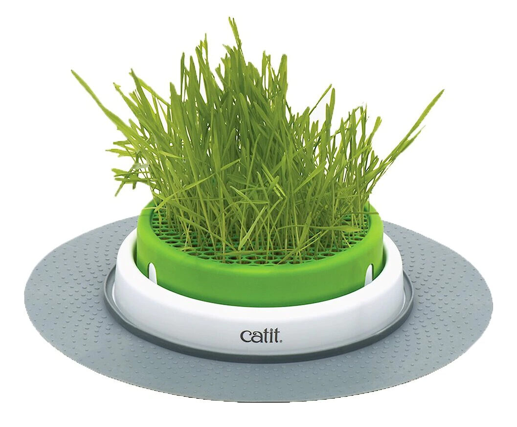 Catit Senses Cat Grass Planter