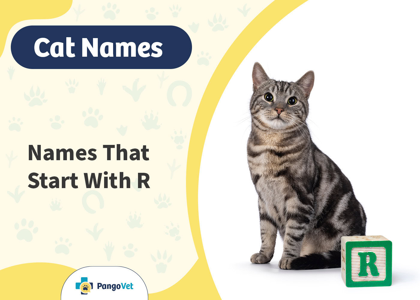 PangoVet_Cat Names that Start with R