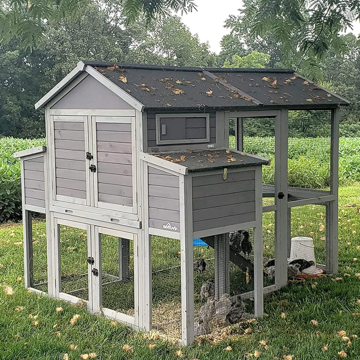 Large Wooden Multi-Level Poultry Cage