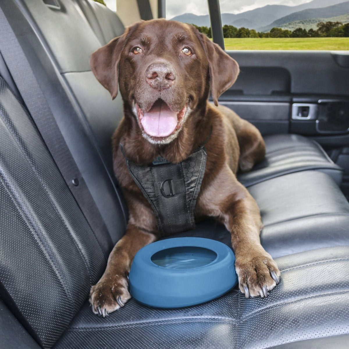 Kurgo Splash-Free Wander Dog Water