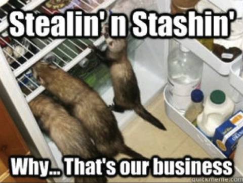 Adorable Little Hoarders