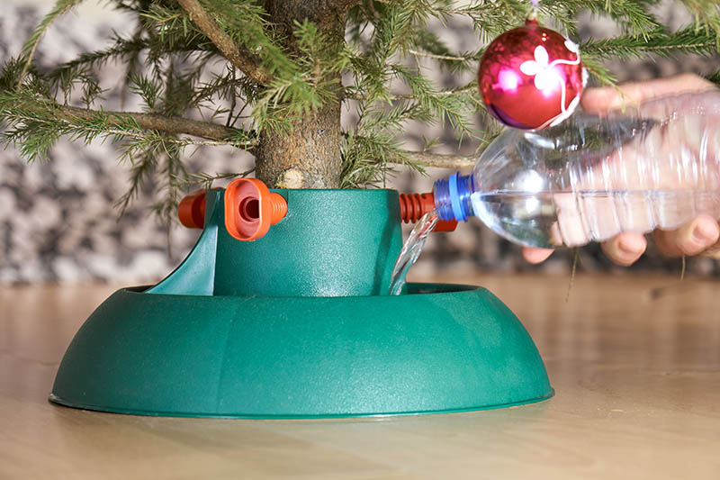 Christmas water tree