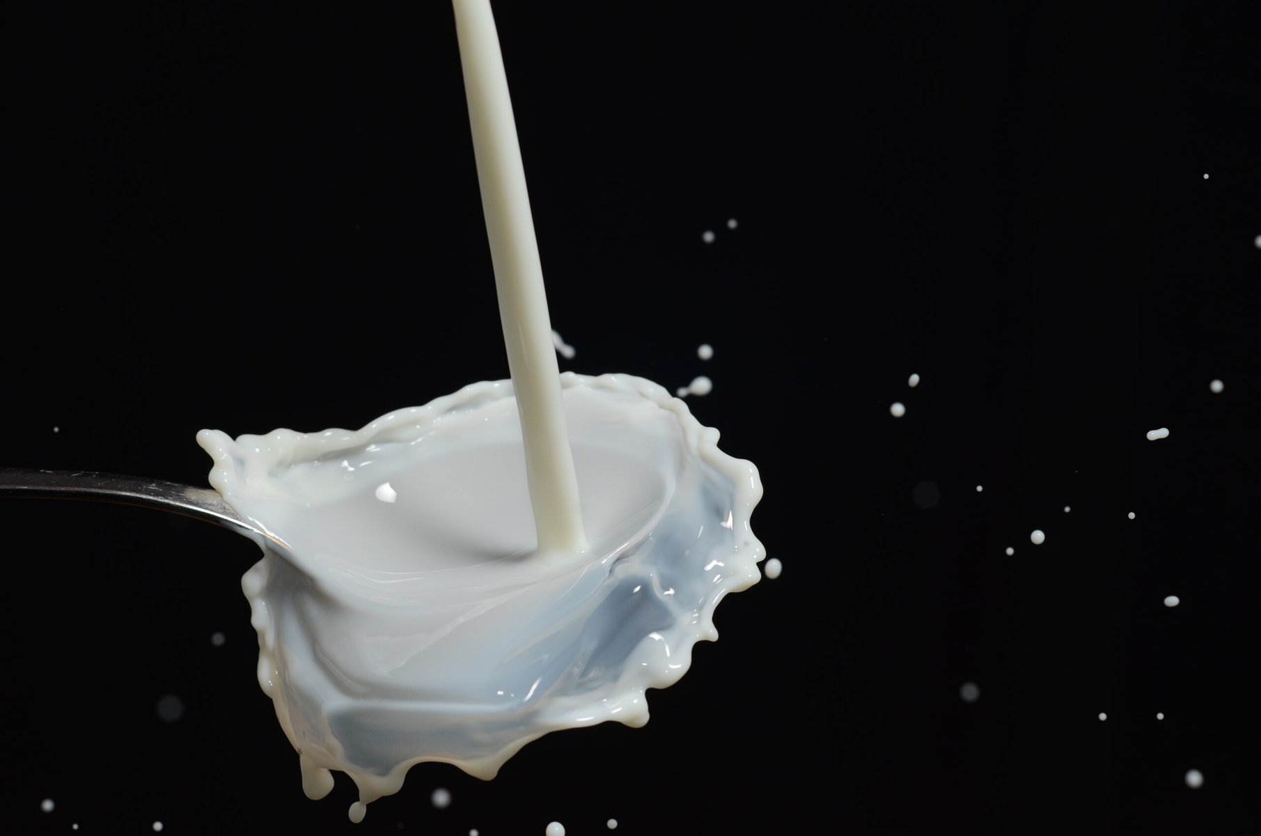 Cow Milk