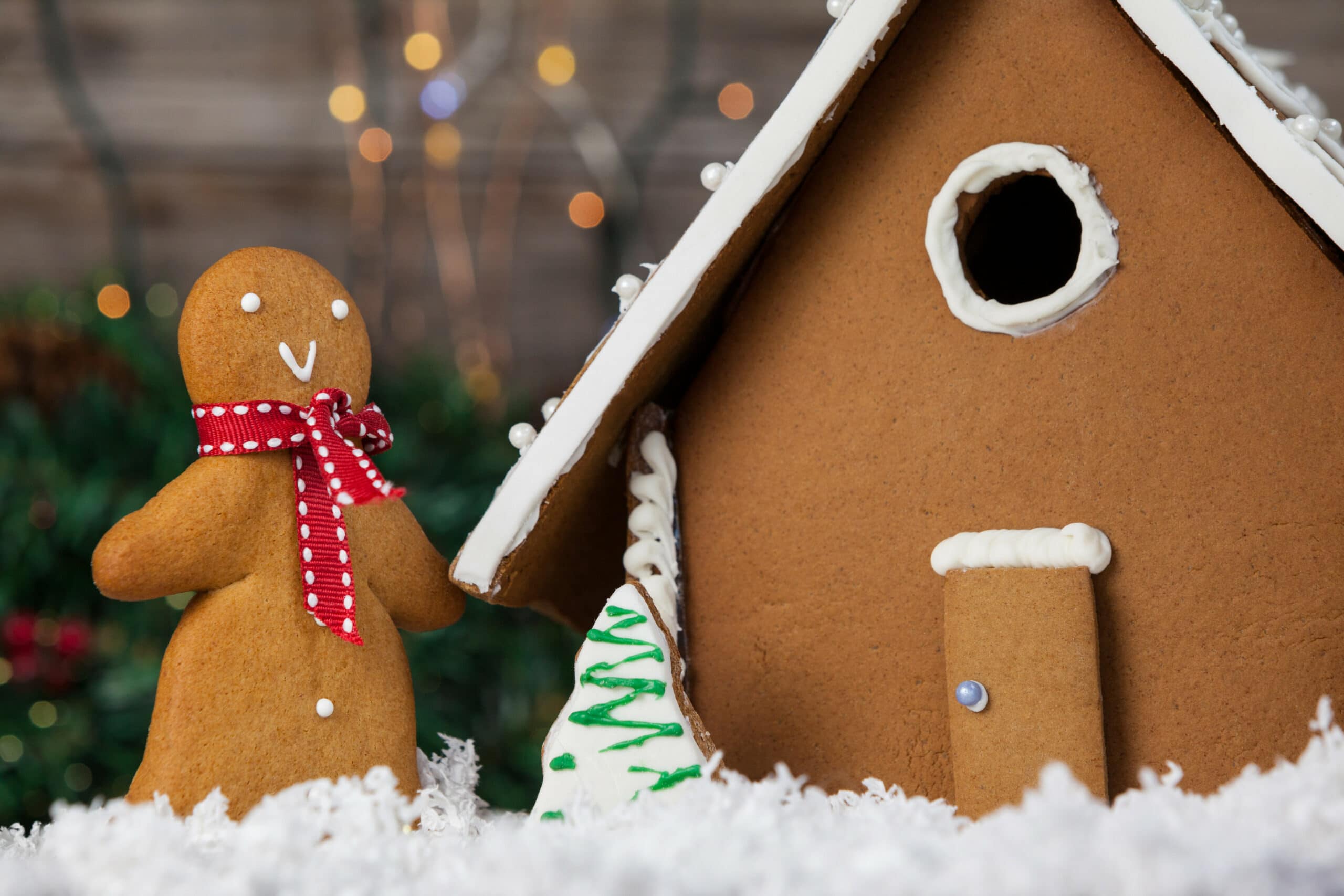 Gingerbread Cookies