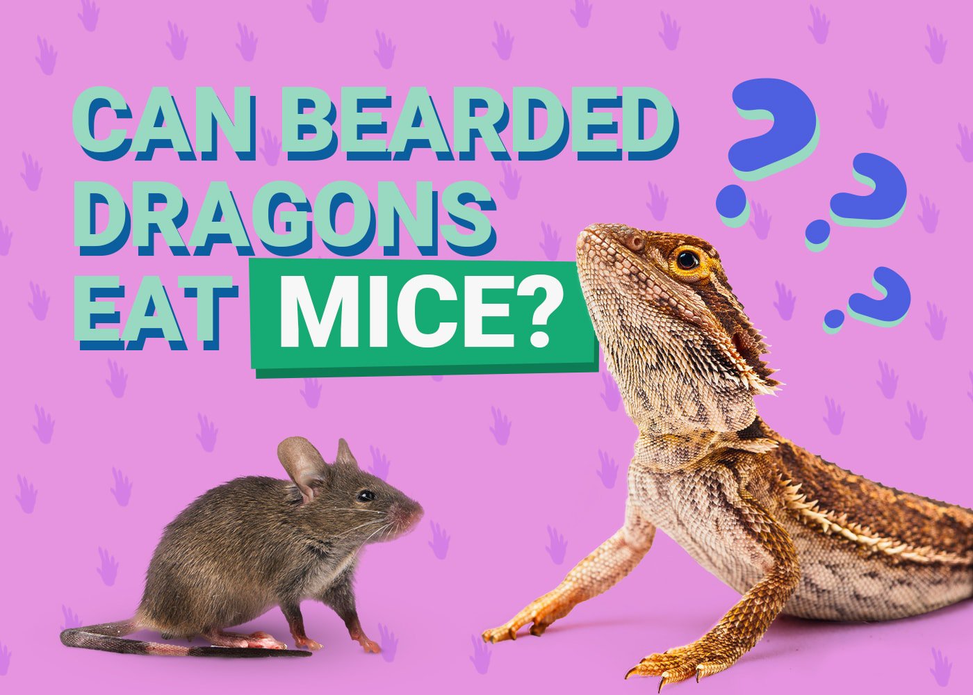 PetKeen_Can Bearded Dragons Eat_mice