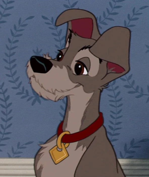 The Tramp from the movie the Lady and the Tramp
