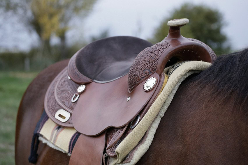 Western Saddle