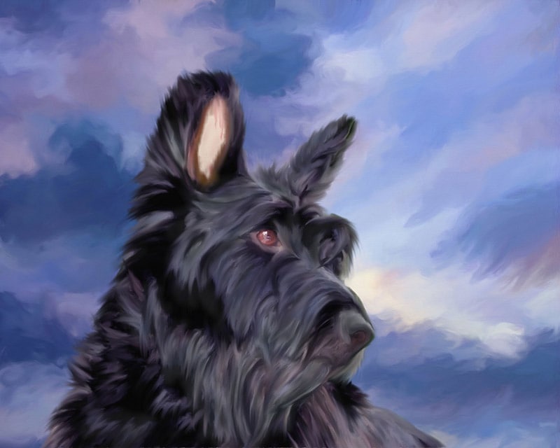 a portrait of a dog