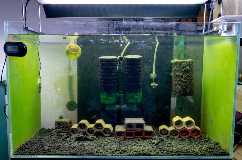 aquarium with dirty