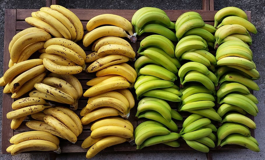 Can Rabbits Eat Bananas?