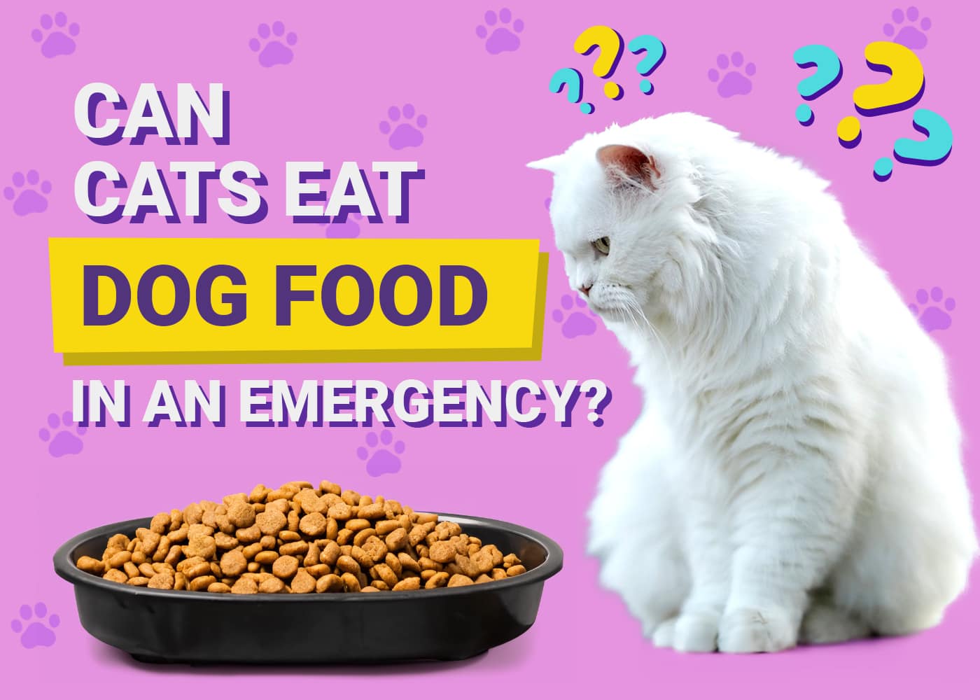Can Cats Eat Dog Food in an Emergency