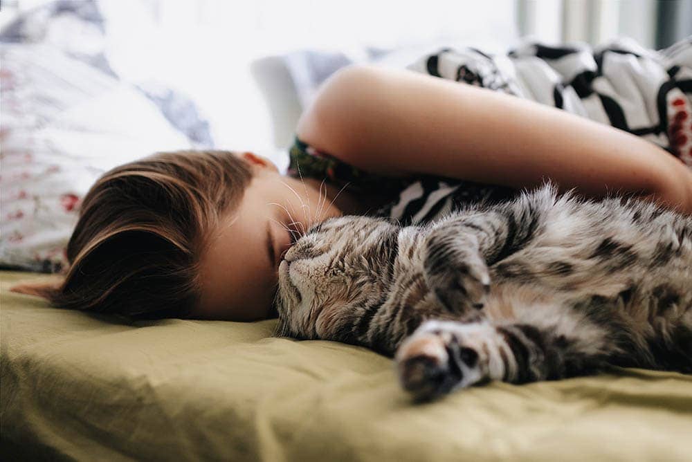 cat-sleeping-near-womans-head