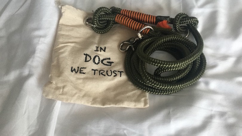 dog leash