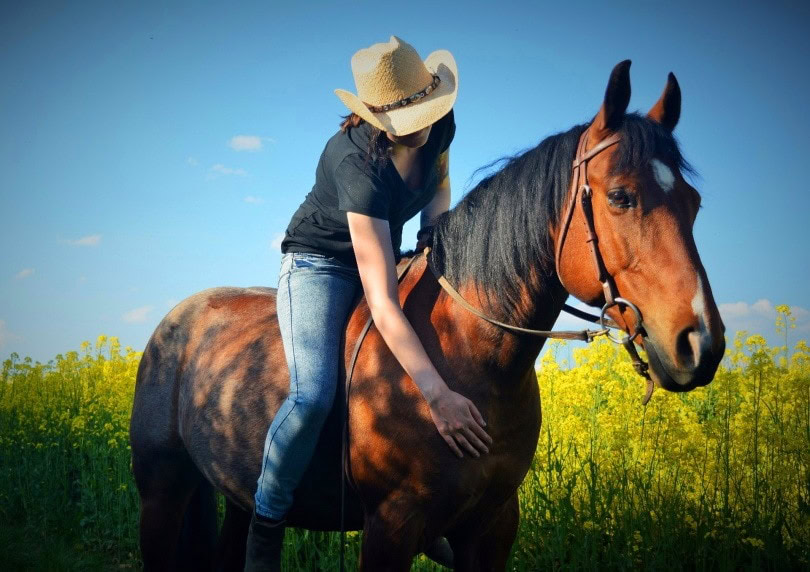 horse riding 2