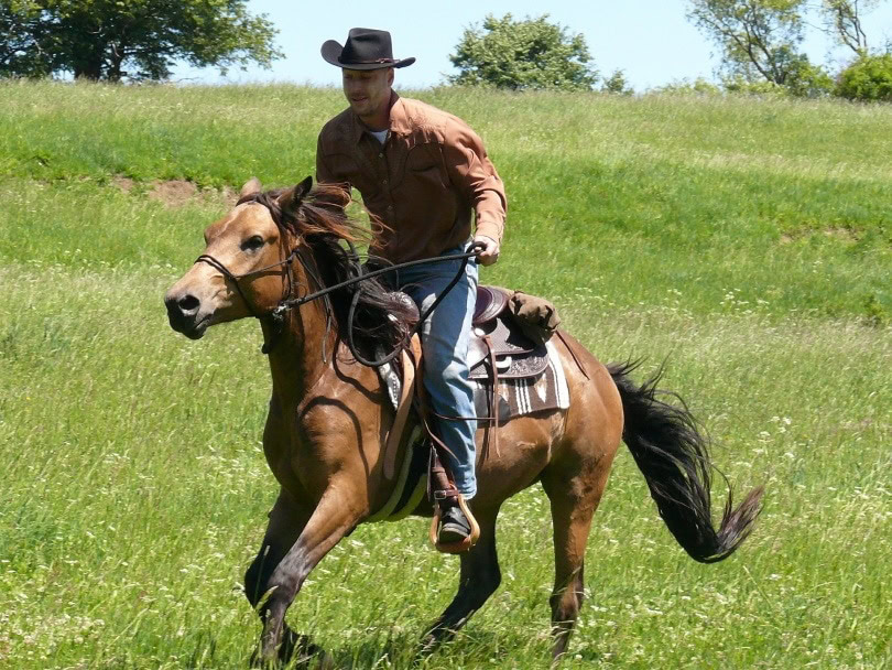 horse ridng