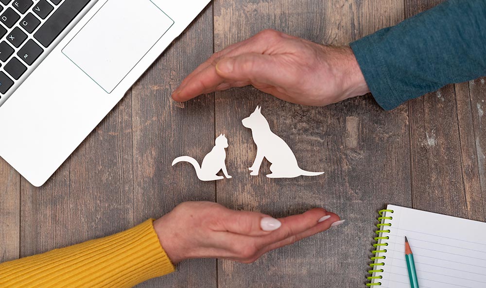pet insurance representation