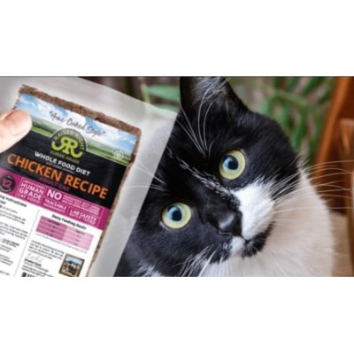 Raised Right Fresh Cat Food Delivery