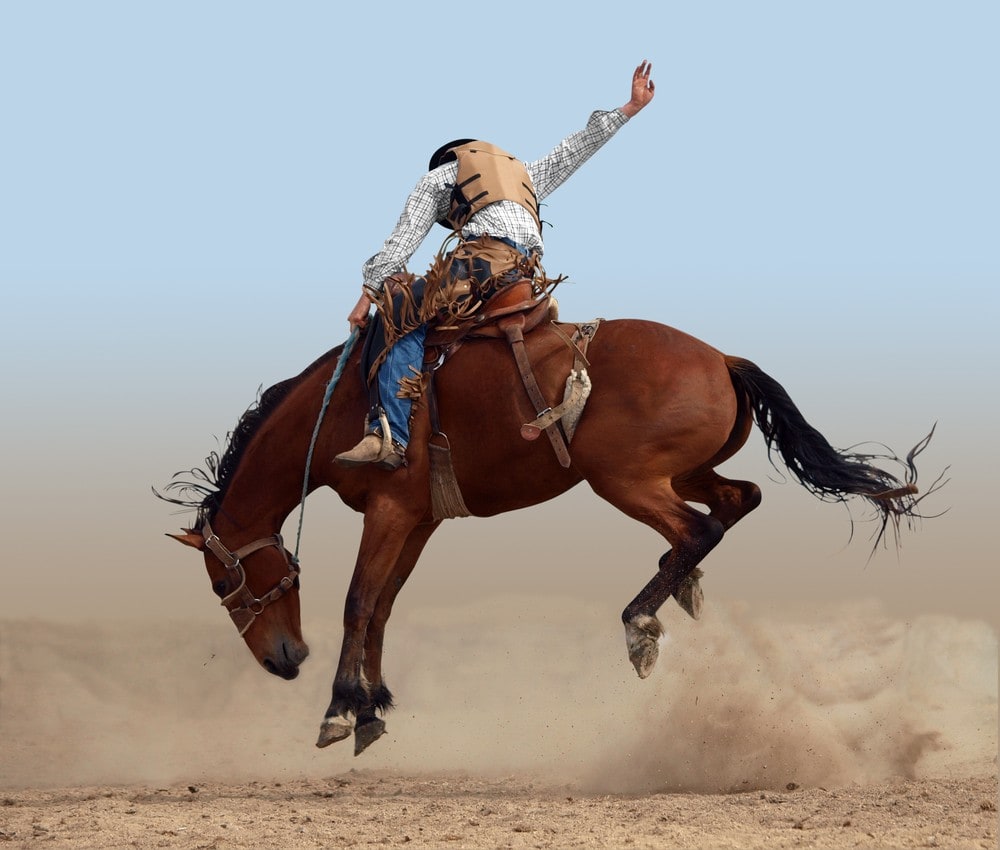 rodeo cowboy