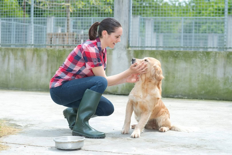 shelter-volunteer-feeding-the-dogs