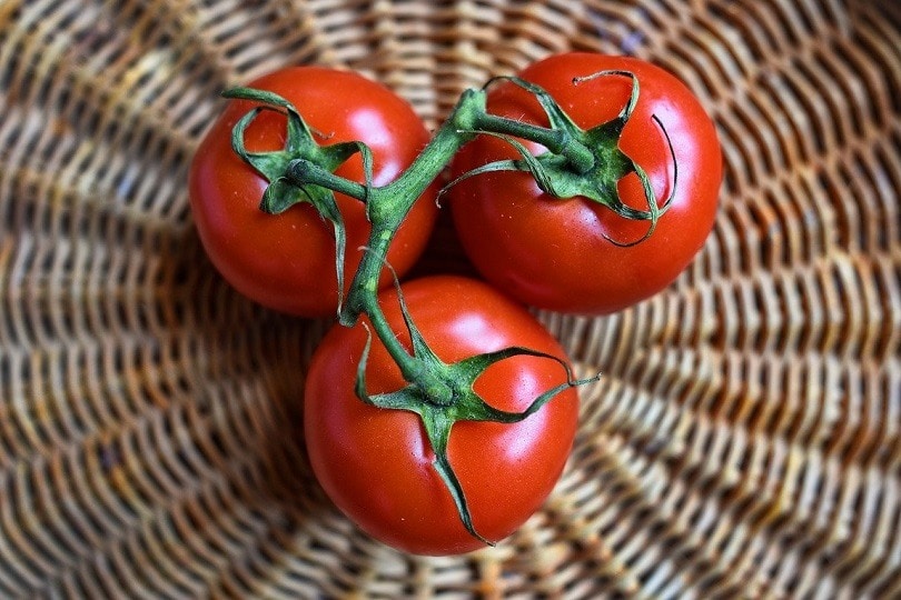 tomato-pixabay