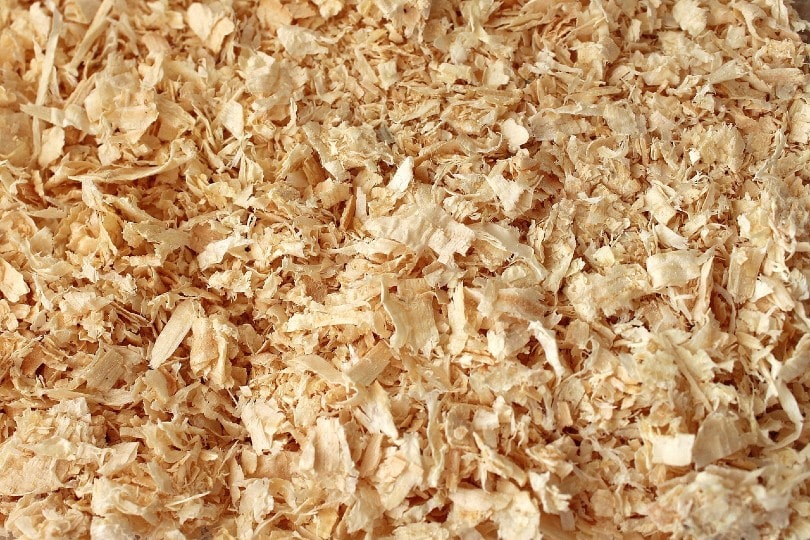 wood shavings