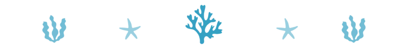 Divider_fish_Aquarium