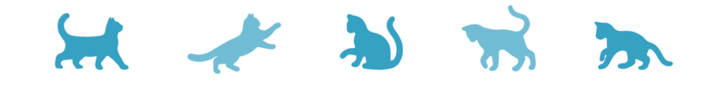 Divider_Cats