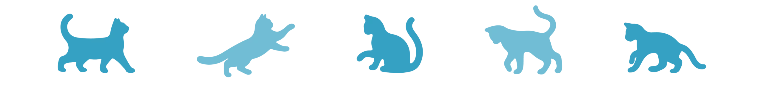 Divider Cats