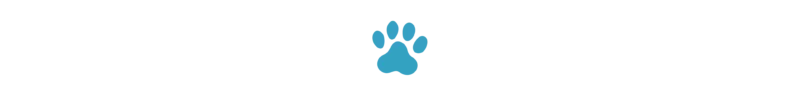 Divider_Dog Single Paw