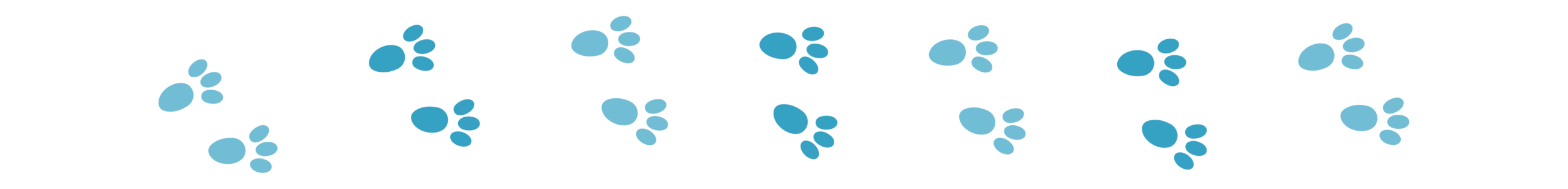 Divider_Rabbit Paw