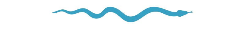 Divider_Snake