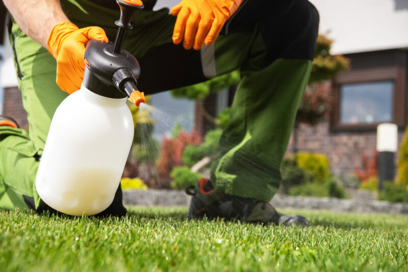 man-spraying-pesticide-on-a-lawn