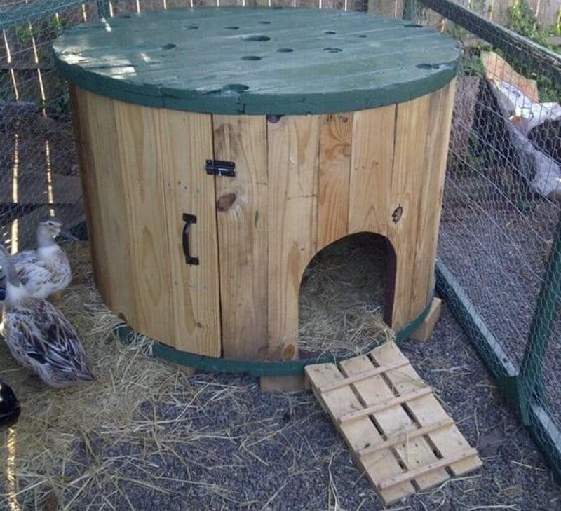DIY Duck House