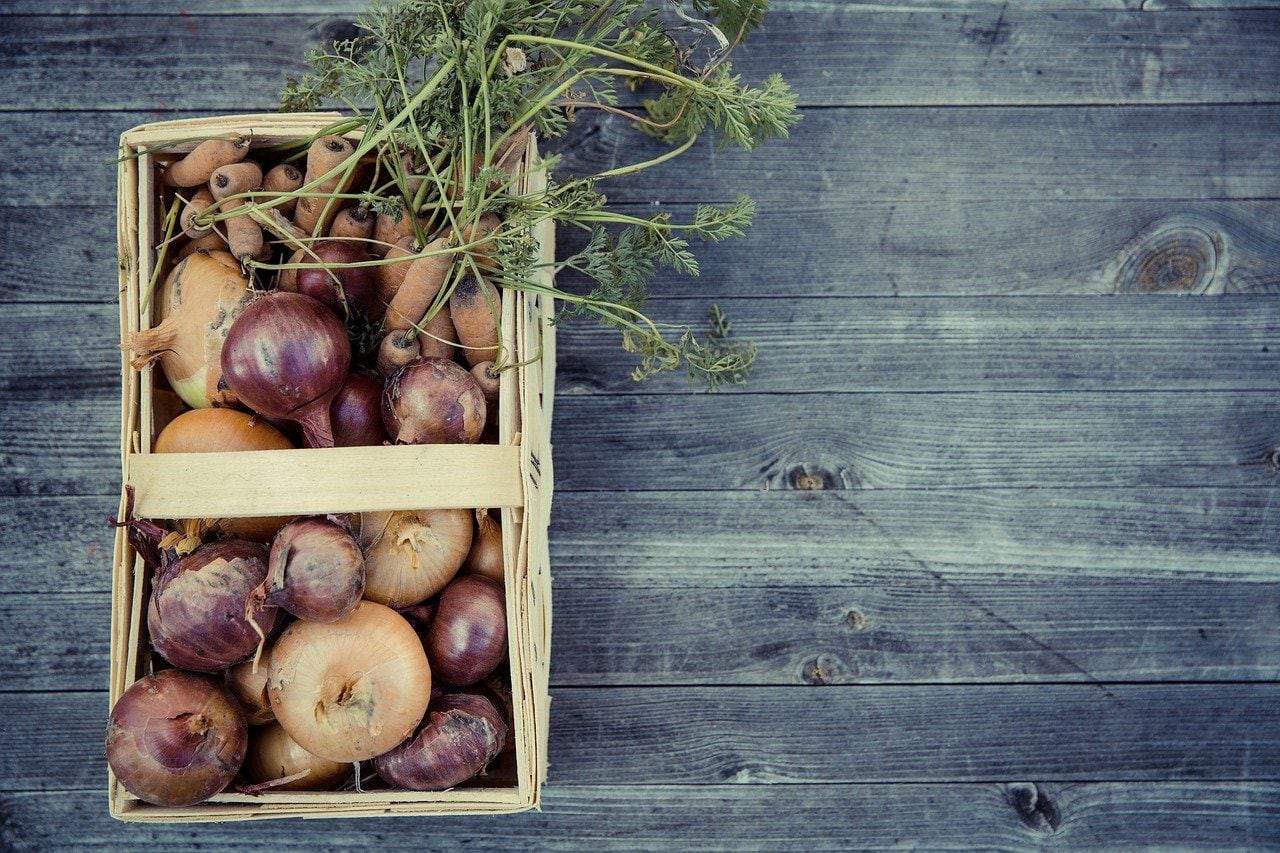 onions and carrots