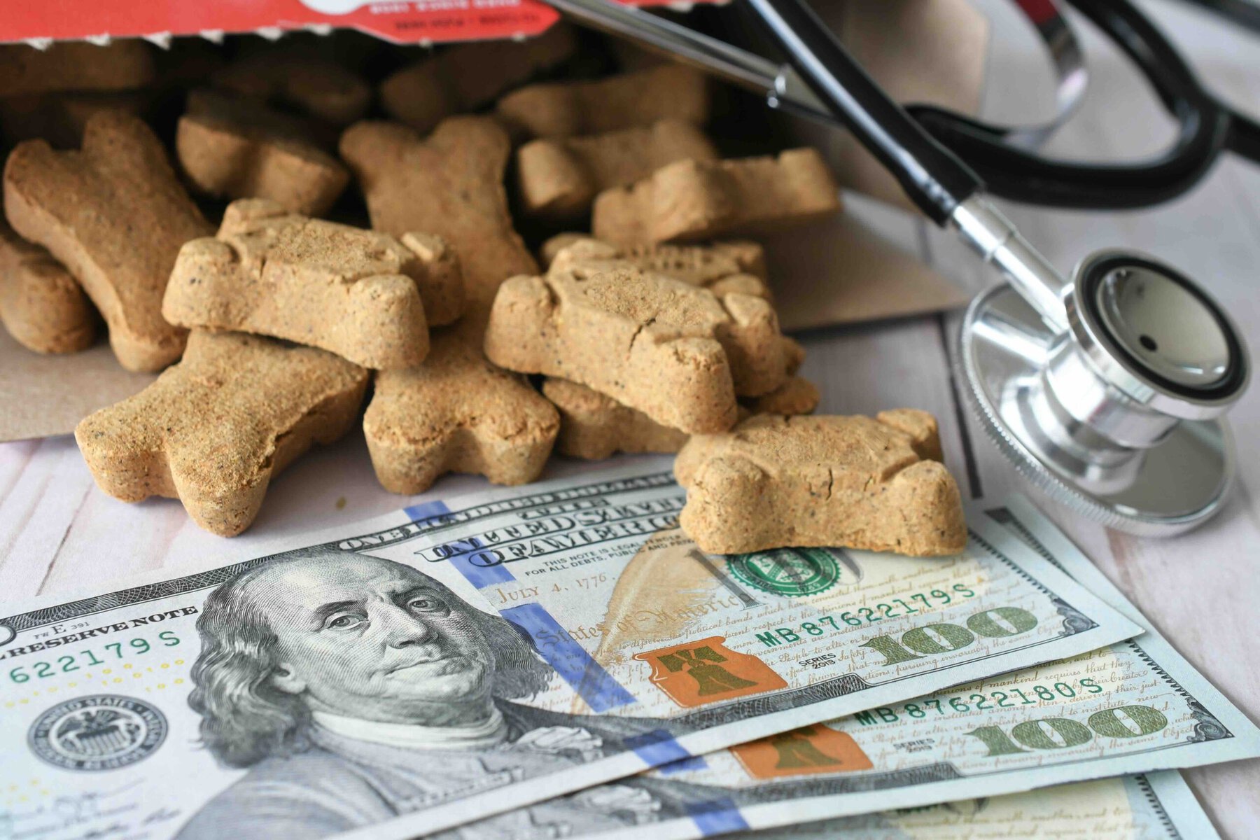 Vet Veterinarian Bill Invoice With Stethoscope And Dog Treats Medical USD dollar money